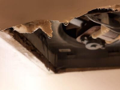 Professional mold removal services in Aurora